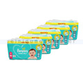 Babywindeln Pampers Baby Dry Größe 4 Maxi 9-12 kg 530 Stück