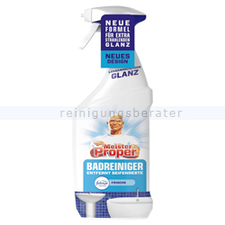 Badreiniger P&G Meister Proper Badspray 800 ml