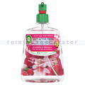 Duftspray Air Wick Active Fresh Kirschblüte Himbeere 228 ml