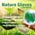 Zusatzbild Einmalhandschuhe aus Nitril Ampri Nature Glove grün S