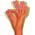 Zusatzbild Einmalhandschuhe aus Nitril Ampri STYLE TUTTIFRUTTI M