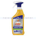 Fettlöser P&G Meister Proper Professional 2in1 Spray 750 ml