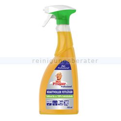 Fettlöser P&G Meister Proper Professional 2in1 Spray 750 ml