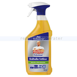 Fettlöser P&G Meister Proper Professional Spray 750 ml