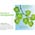 Zusatzbild IONATOR EXP von Activeion