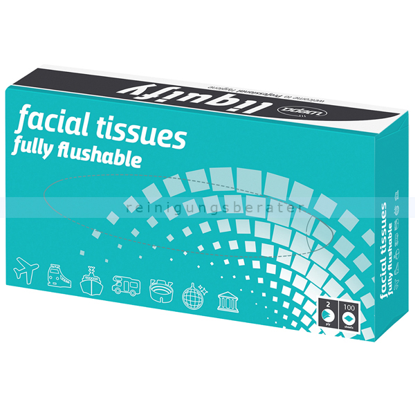 Kosmetiktücher Wepa liquify 2-lagig hochweiß 100er Box
