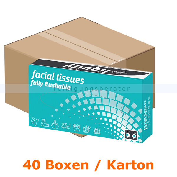 Kosmetiktücher Wepa liquify 2-lagig hochweiß 100er Karton