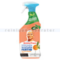 Küchenreiniger P&G Meister Proper Küchenspray 500 ml