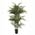 Zusatzbild Kunstpflanze Bambus 180 cm Grün