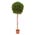 Zusatzbild Kunstpflanze Buxus auf Stamm, Kunststoff Topf Grün