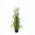 Zusatzbild Kunstpflanze Federgras Bommel 120cm Grün