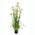 Zusatzbild Kunstpflanze Federgras Bommel 150cm Grün