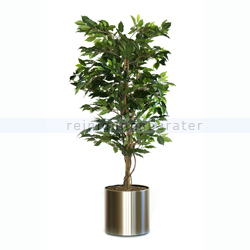 Kunstpflanze Ficus Benjamina 150 cm Grün