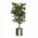 Zusatzbild Kunstpflanze Ficus Benjamina 150 cm Grün