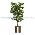 Kunstpflanze Ficus Benjamina Grün 210 cm Grün