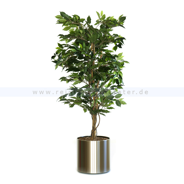 Kunstpflanze Ficus Benjamina Grün 210 cm Grün