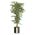 Zusatzbild Kunstpflanze Ficus Hawaï Bunt 210 cm, exklusive Blumentopf