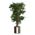 Zusatzbild Kunstpflanze Ficus Liana Grün 210 cm, exklusive Blumentopf