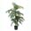 Zusatzbild Kunstpflanze Goldfruchtpalme 150 cm Grün