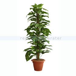 Kunstpflanze Scindapsus Moosstab 150 cm Bunt