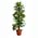 Zusatzbild Kunstpflanze Scindapsus Moosstab 150 cm Bunt