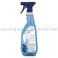 Kunststoffreiniger Tana Sprinter Power 750 ml