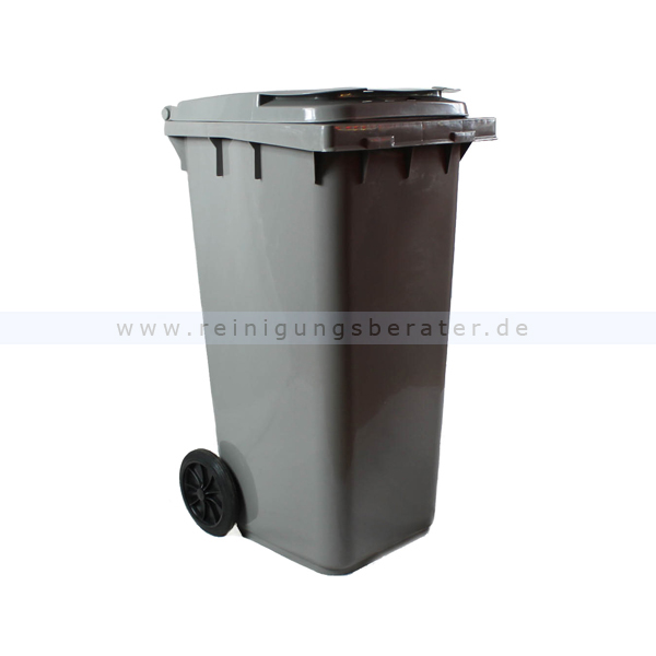Mülltonne Müll Container 120 L Grau