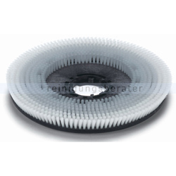 Numatic Nylon Scheuerbürste 650 mm