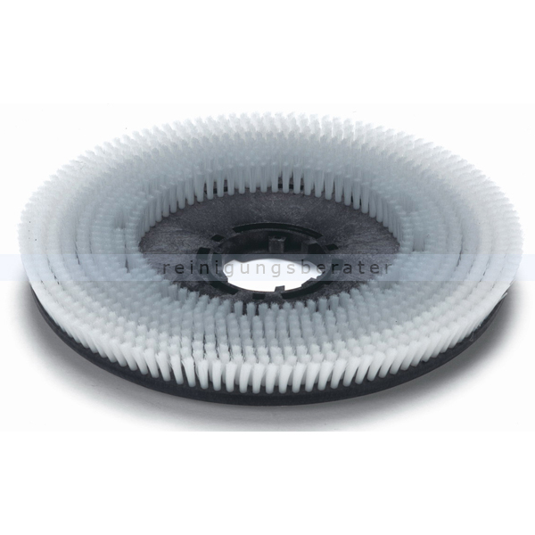 Numatic Nylon Scheuerbürste 650 mm