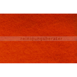 Orbital Exzenter Pad Dr. Rauwald rot 335 x 485 mm