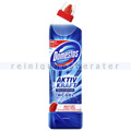 Sanitärr. Diversey Domestos WC-Aktiv-Gel Ocean Fresh 750 ml