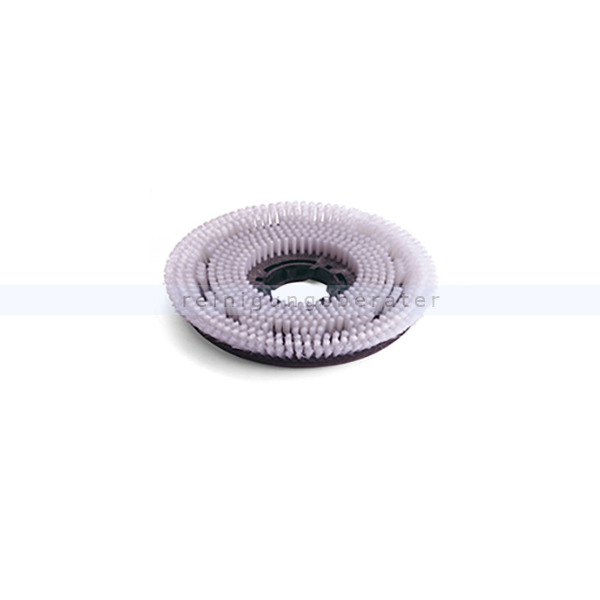 Scheuerbürste, Shampoonierbürste Numatic 370 mm