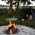 Zusatzbild Schwenkgrill Greenhand Campfire rostfreier Stahl 45 cm