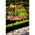 Zusatzbild Schwenkgrill Nortpol Farmcook mit Rost aus Edelstahl 50 cm