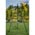 Zusatzbild Schwenkgrill Nortpol Farmcook mit Rost aus Rohstahl 70 cm