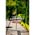 Zusatzbild Schwenkgrill Nortpol Farmcook mit Rost aus Rohstahl 70 cm
