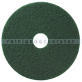 Superpad TASKI Americo Pad grün 310 mm 12 Zoll