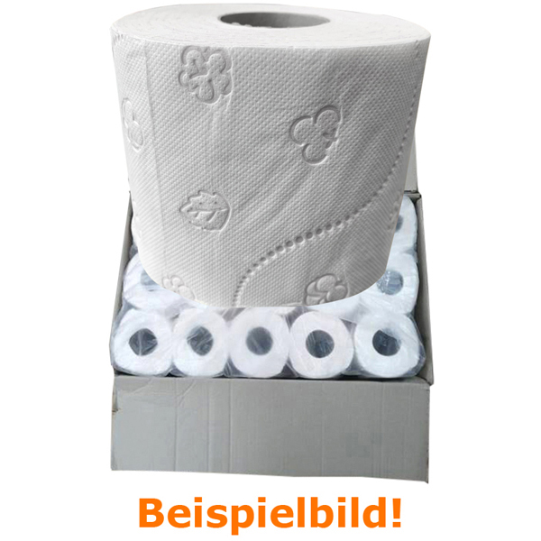 100 % Zellstoff Toilettenpapier 3-lagig allpack24 Papierhandtuch 60Rollen 