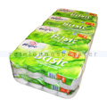 Toilettenpapier Fripa Tissue Recycling Basic weiss 64 Rollen