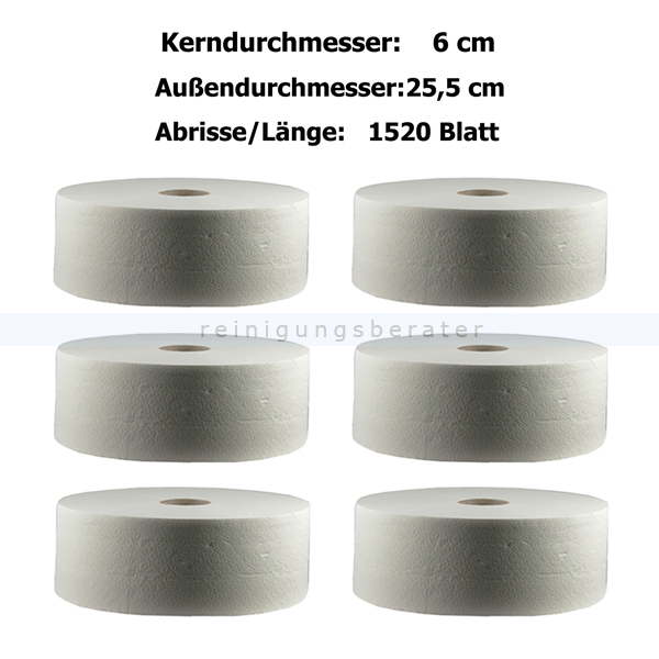 Toilettenpapier Großrolle CWS Tissue weiß 2-lagig