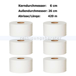 Toilettenpapier Großrolle Fripa hochweiß 2-lagig