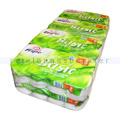 Toilettenpapier Papernet Tissue Recycling naturweiss 2-lagig