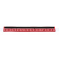 Wasserschieber Haug Ersatz Gummilippe zweilippig 42 cm rot